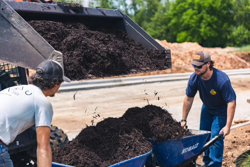 Affordable yard cleanup service with custom design in Springfield, MO by No Mow Worries Lawn Care & Landscape