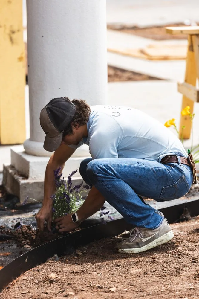 Professional yard cleanup service experts serving Springfield, MO - No Mow Worries Lawn Care & Landscape