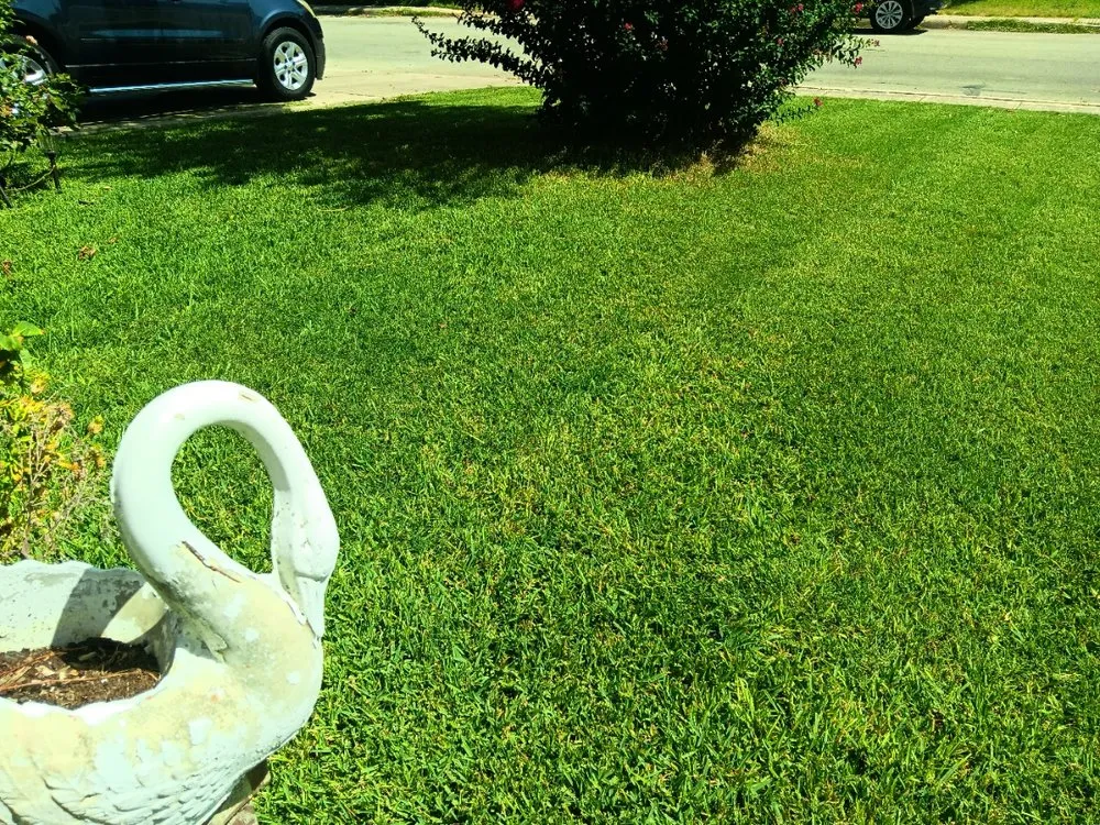 Custom yard cleanup service in San Antonio, TX - No Mow Worries Lawn Care