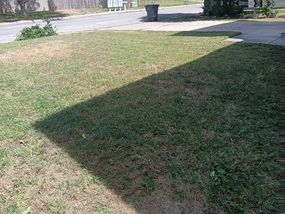 Trusted landscape design experts serving San Antonio, TX - No Mow Worries Lawn Care