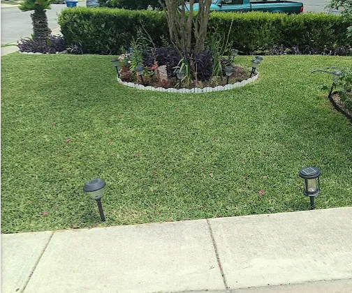 Top-rated landscape design for homes across San Antonio, TX - No Mow Worries Lawn Care