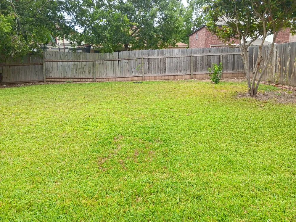 Custom residential landscaping experts serving San Antonio, TX - No Mow Worries Lawn Care