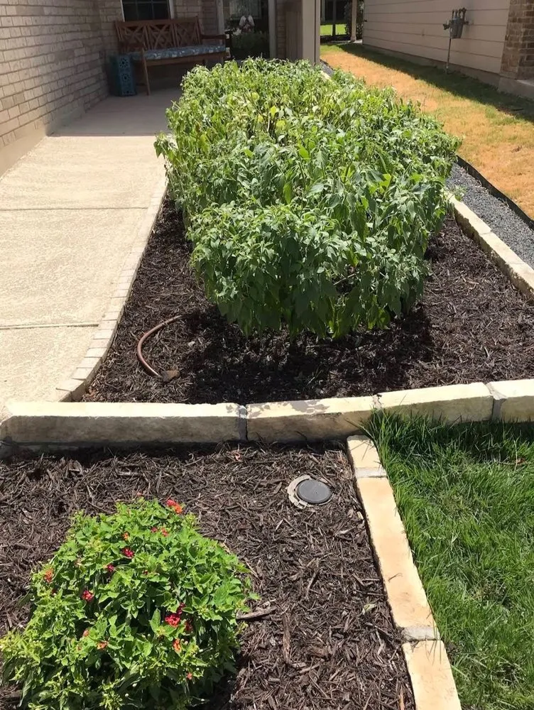 Expert garden landscaping in San Antonio, TX by No Mow Worries Lawn Care