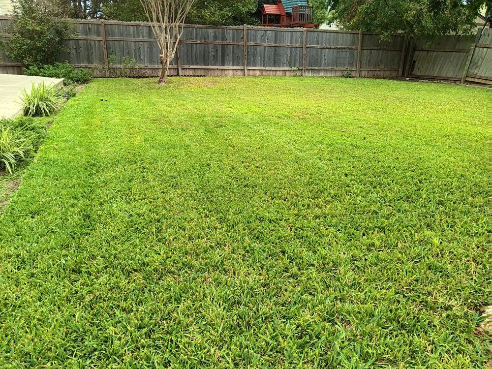 Top-rated landscaping services with custom design in San Antonio, TX by No Mow Worries Lawn Care