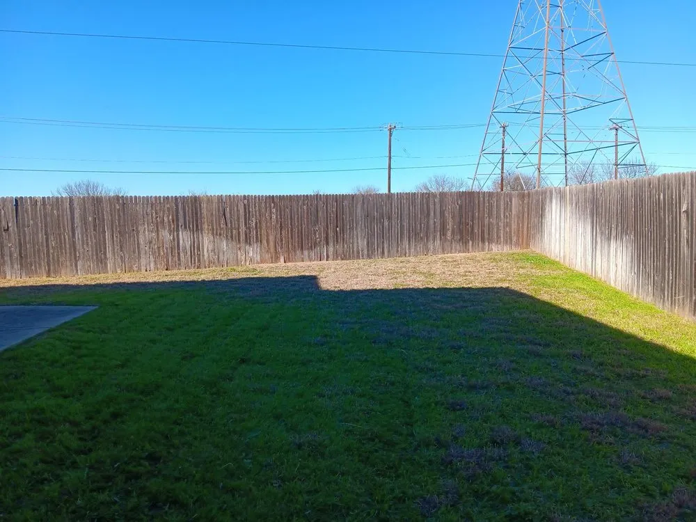 Local lawn care service experts serving San Antonio, TX - No Mow Worries Lawn Care