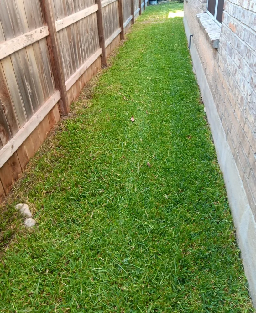 Professional landscape installation in San Antonio, TX - No Mow Worries Lawn Care