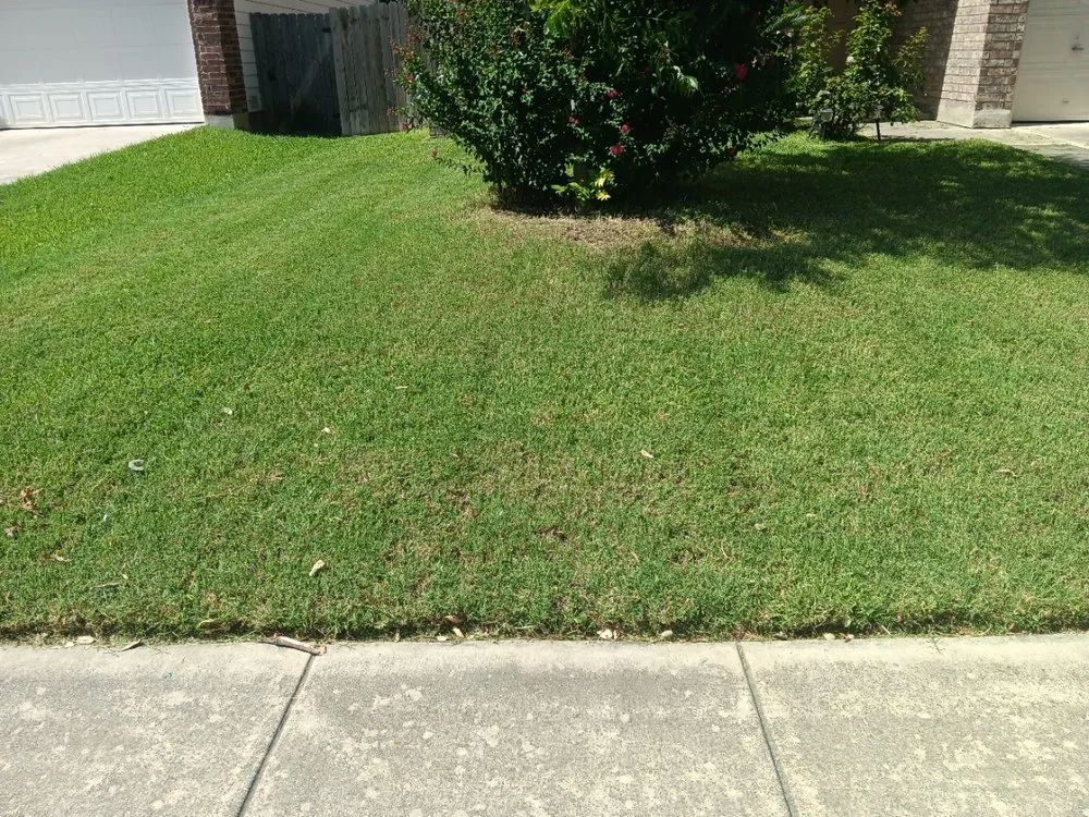 Top-rated yard maintenance in San Antonio, TX - No Mow Worries Lawn Care