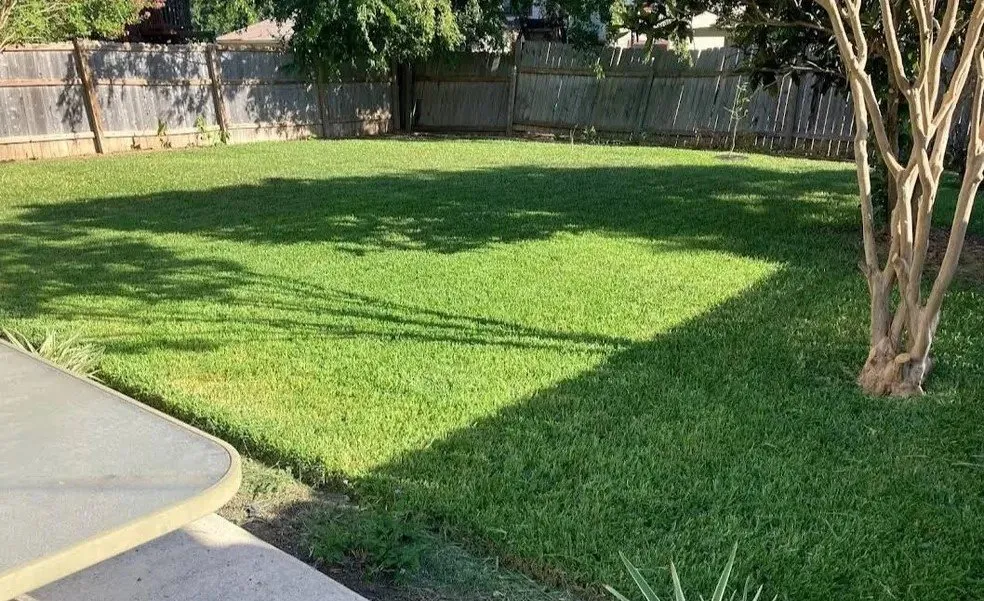 Reliable landscape installation for residential properties across San Antonio, TX - No Mow Worries Lawn Care