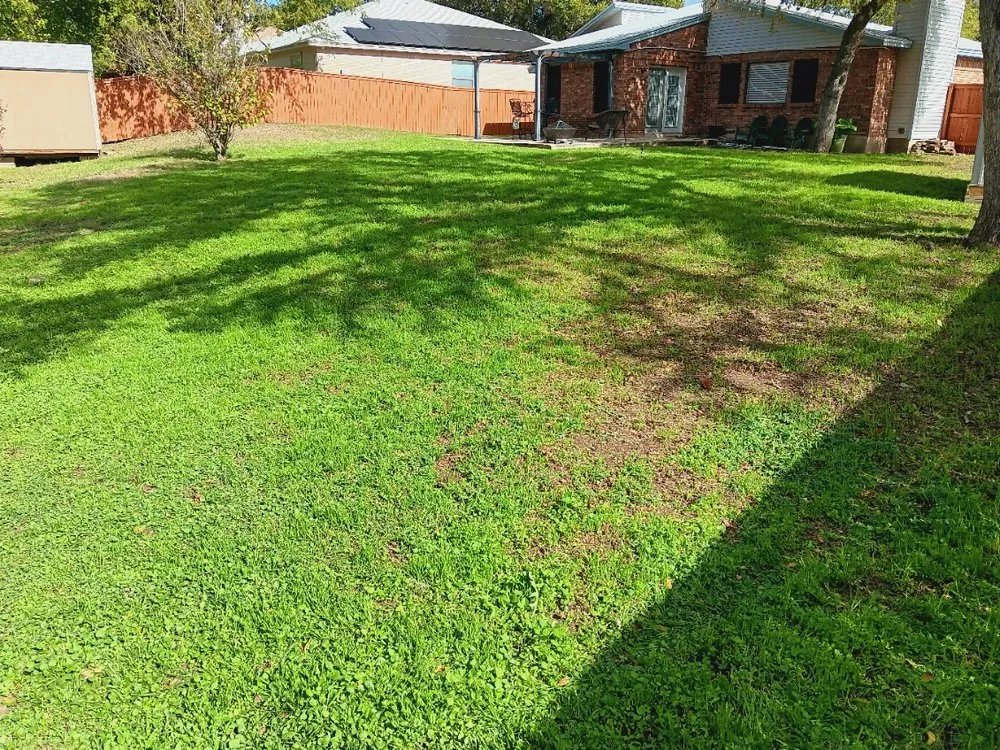 Professional residential landscaping in San Antonio, TX by No Mow Worries Lawn Care