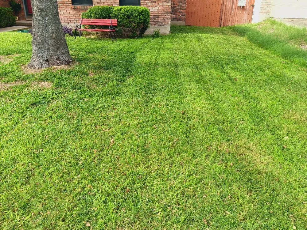 Professional lawn mowing service in San Antonio, TX - No Mow Worries Lawn Care
