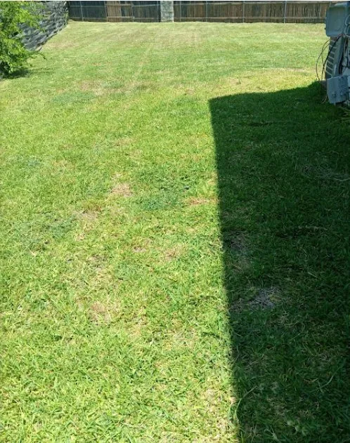 Reliable garden landscaping experts serving San Antonio, TX - No Mow Worries Lawn Care