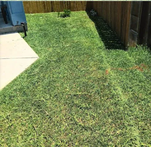 Trusted landscape installation for homes in San Antonio, TX by No Mow Worries Lawn Care