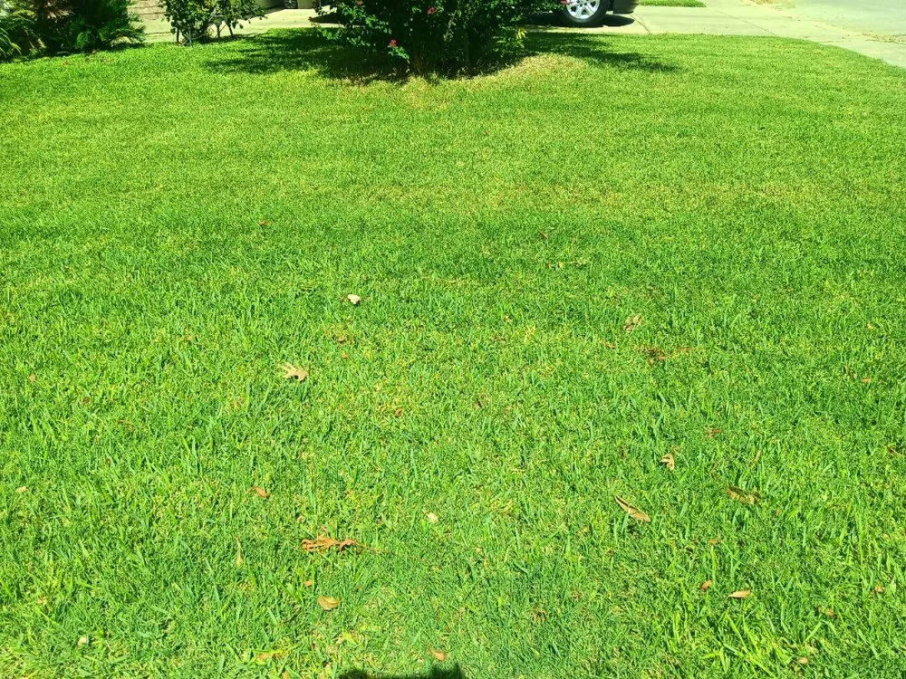 Top-rated residential landscaping for residential properties in San Antonio, TX by No Mow Worries Lawn Care