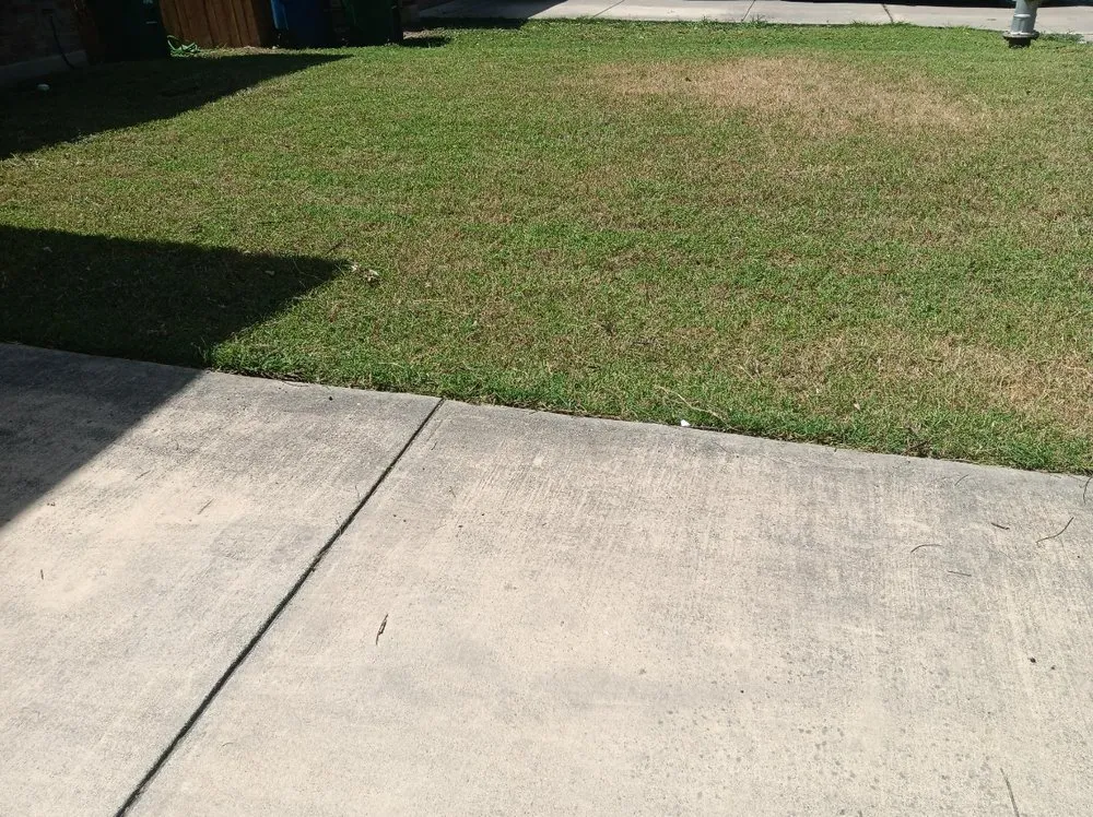 Reliable yard maintenance for residential properties across San Antonio, TX - No Mow Worries Lawn Care