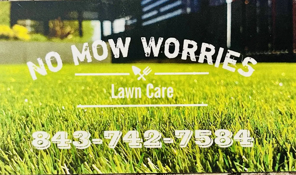 Top-rated outdoor landscaping experts serving Loris, SC - No Mow Worries