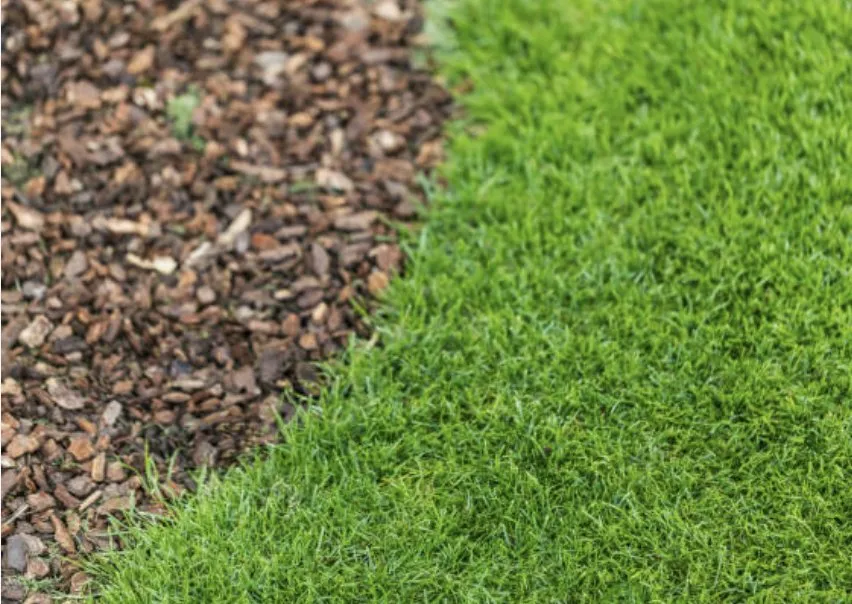 Reliable yard maintenance in Loris, SC - No Mow Worries