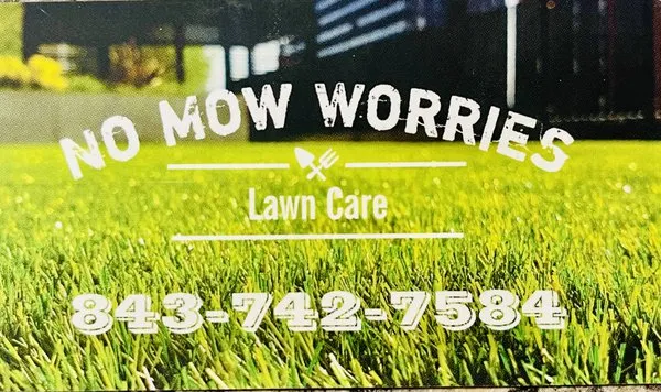 No Mow Worries