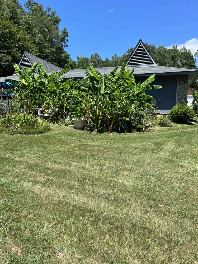 Custom outdoor landscaping for outdoor upgrades across Phenix City, AL - No Mow Worries