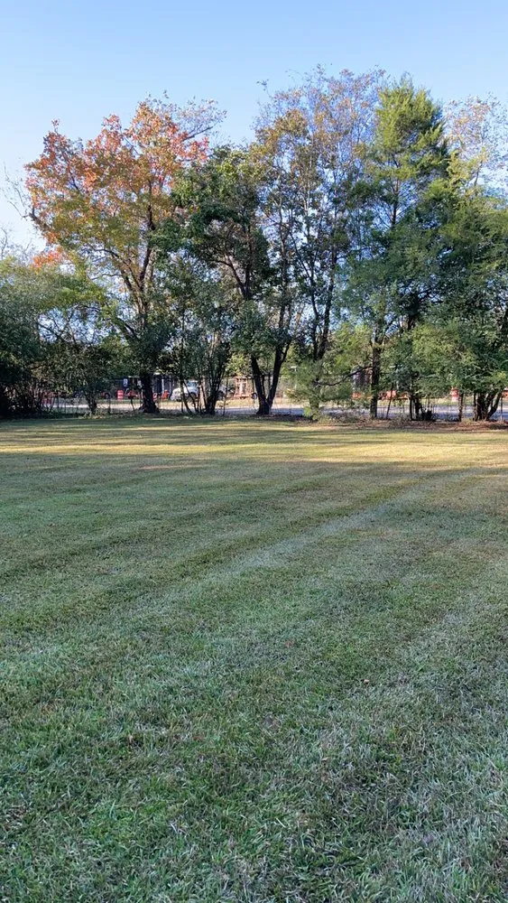 Custom yard cleanup service for outdoor upgrades in Phenix City, AL by No Mow Worries