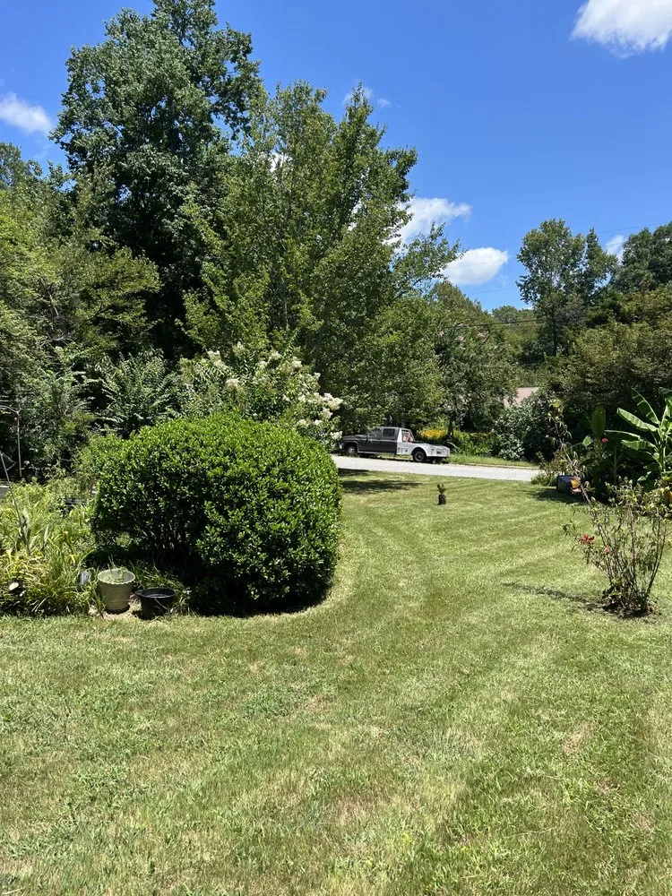 Affordable yard cleanup service in Phenix City, AL - No Mow Worries