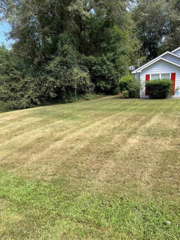 Custom residential landscaping near you across Phenix City, AL - No Mow Worries