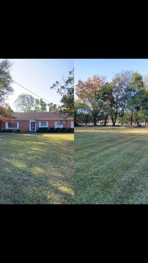 Custom yard cleanup service in Phenix City, AL by No Mow Worries