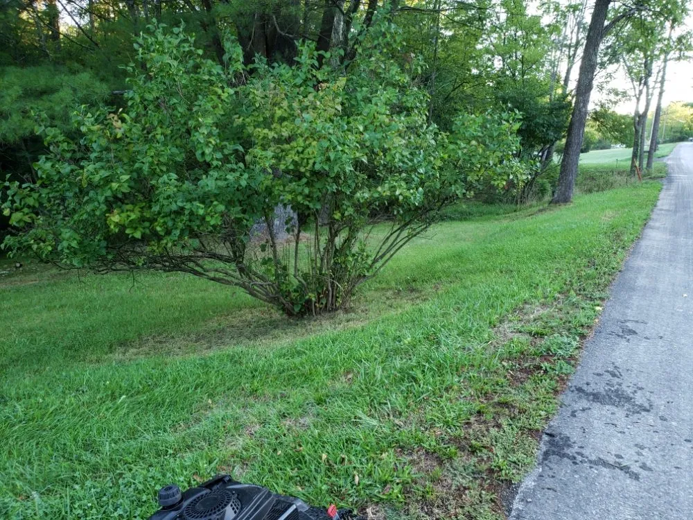 Professional garden landscaping for beautiful yards across Port Matilda, PA - No Mow Worries