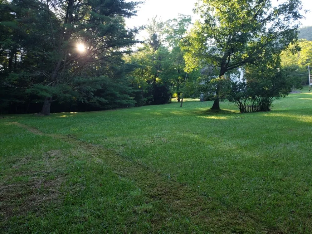 Professional landscape design for residential properties across Port Matilda, PA - No Mow Worries