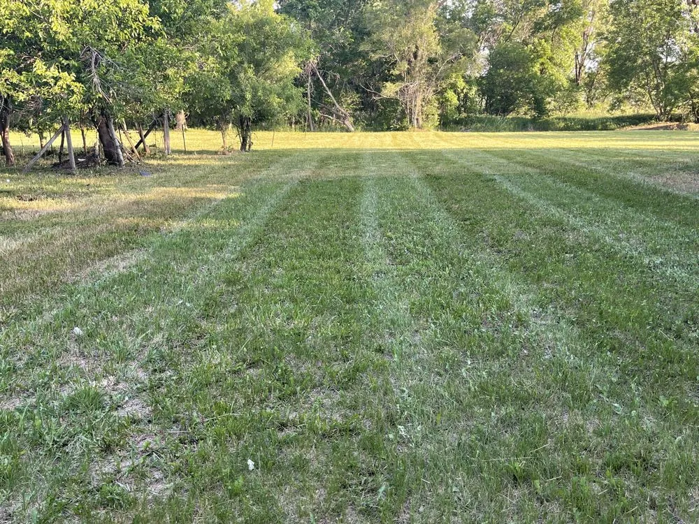 Professional yard maintenance for homes in Winnebago, NE by No Mow Worries