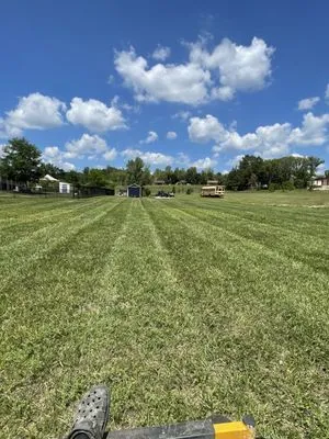 No Mow Worries