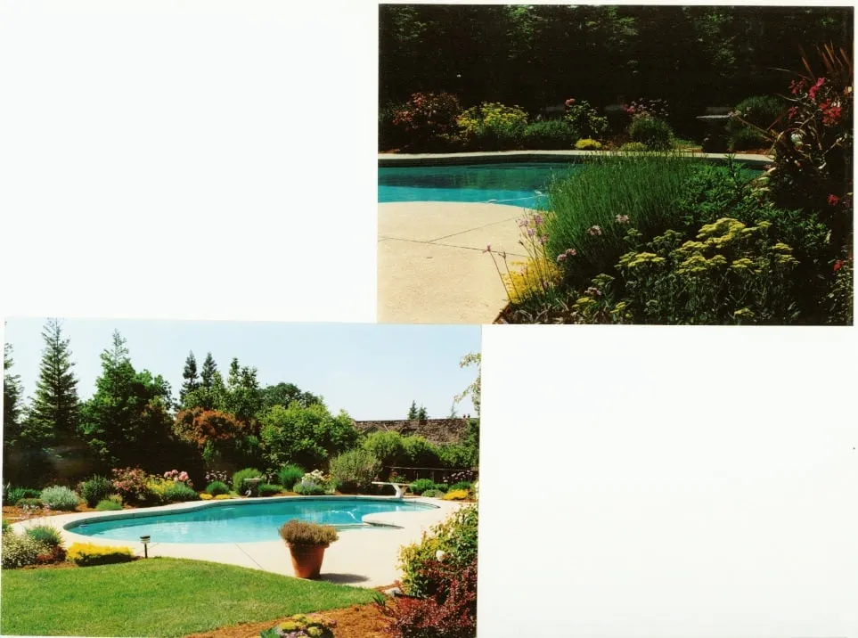 Reliable yard cleanup service for beautiful yards in San Ramon, CA by No Nonsense Horticultural Services