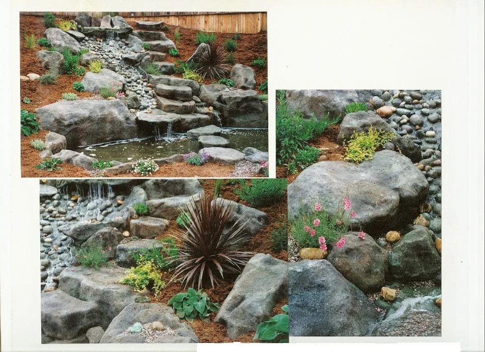 Trusted landscape design experts serving San Ramon, CA - No Nonsense Horticultural Services