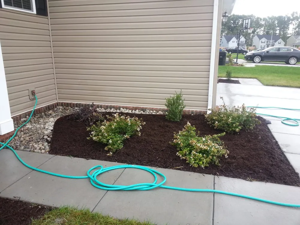 Affordable yard cleanup service in Chesapeake, VA - No Option Lawns