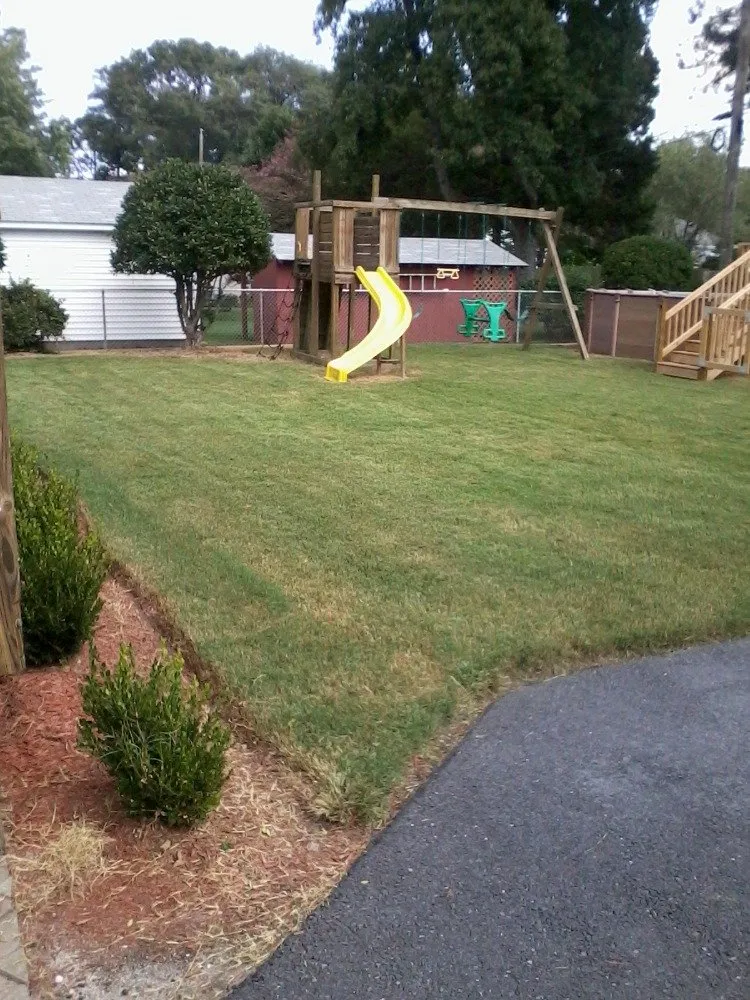 Trusted yard cleanup service with custom design in Chesapeake, VA by No Option Lawns
