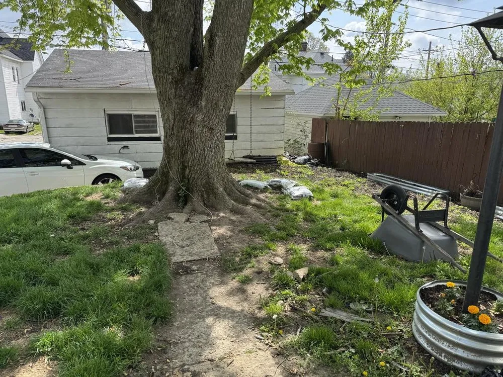 Custom yard cleanup service experts serving Lafayette, IN - No Poop Left Behind