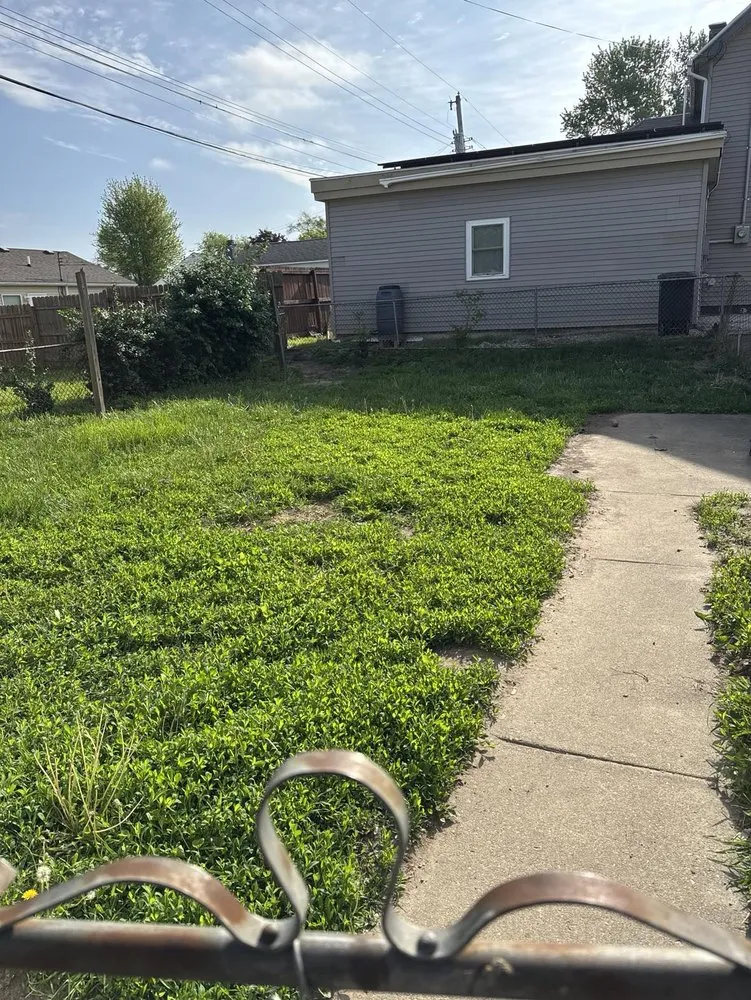 Expert yard cleanup service experts serving Lafayette, IN - No Poop Left Behind