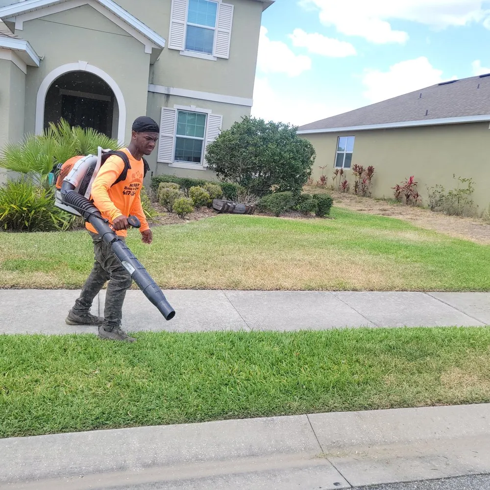 Reliable landscaping services for year-round maintenance in Kissimmee, FL by No Problem Home Care Services