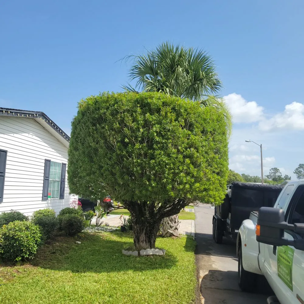 Top-rated outdoor landscaping in Kissimmee, FL by No Problem Home Care Services