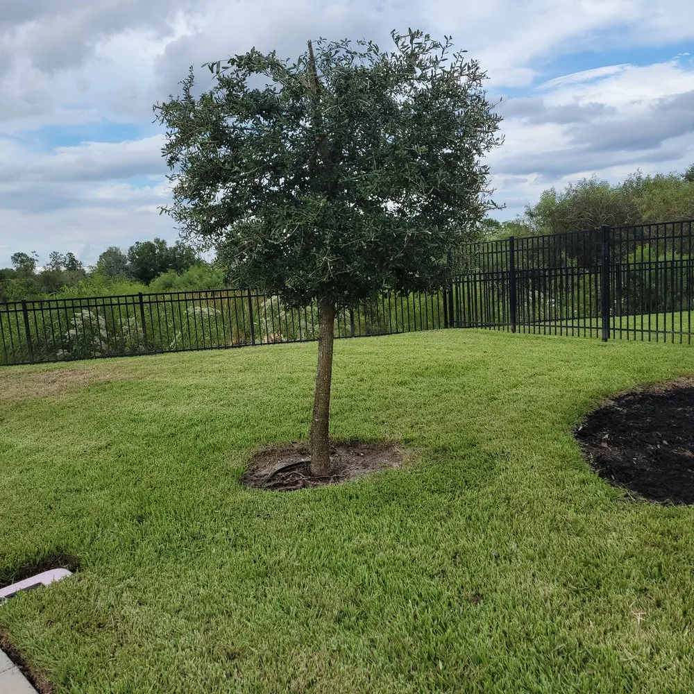 Local lawn mowing service in Kissimmee, FL - No Problem Home Care Services