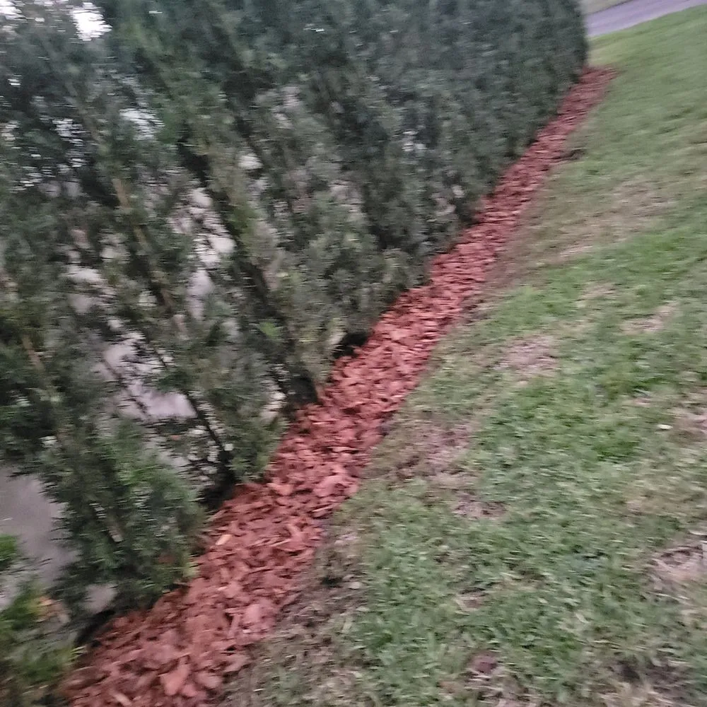 Trusted landscape design for year-round maintenance across Kissimmee, FL - No Problem Home Care Services