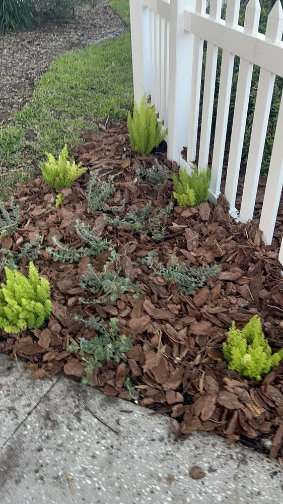 Affordable lawn mowing service for residential properties in Kissimmee, FL by No Problem Home Care Services