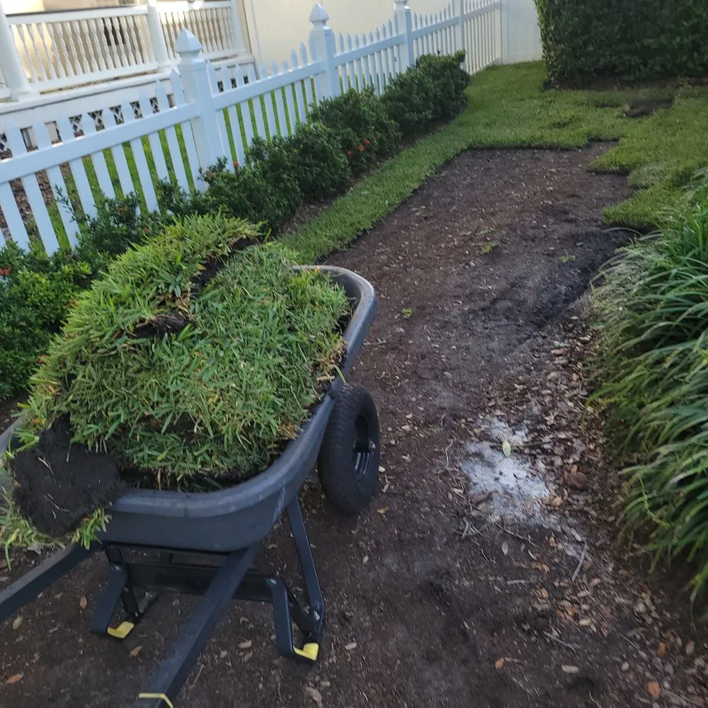 Affordable outdoor landscaping in Kissimmee, FL by No Problem Home Care Services