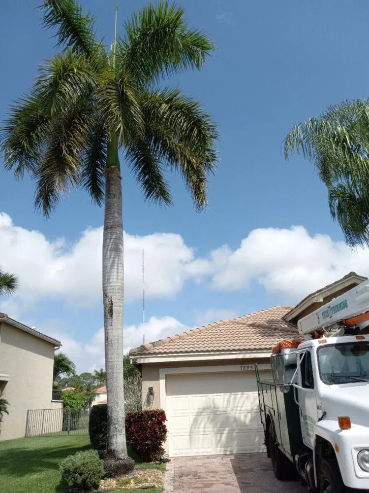 Local residential landscaping near you in Boynton Beach, FL by No Room for Error Tree Tech
