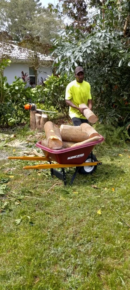 Top-rated yard maintenance for outdoor upgrades in Boynton Beach, FL by No Room for Error Tree Tech