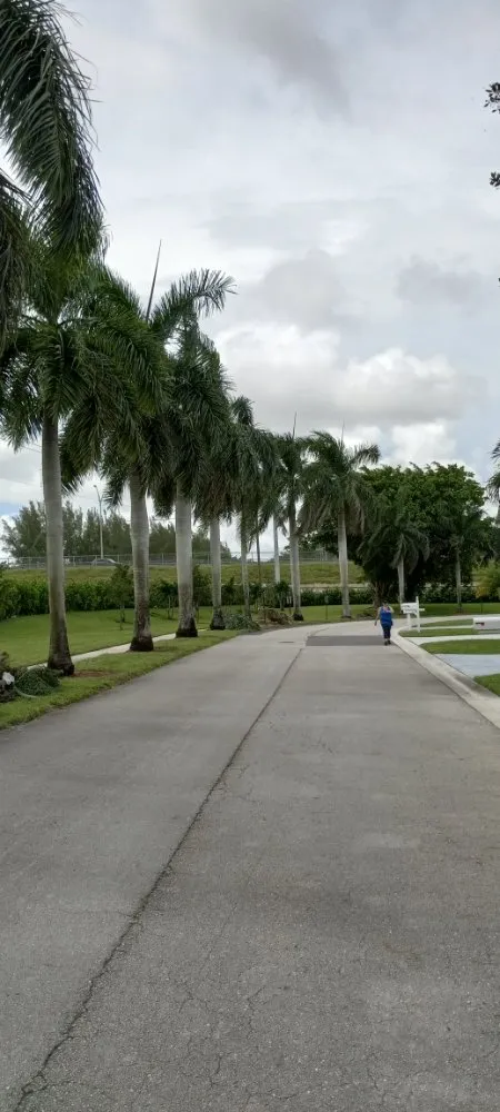 Local lawn care service experts serving Boynton Beach, FL - No Room for Error Tree Tech