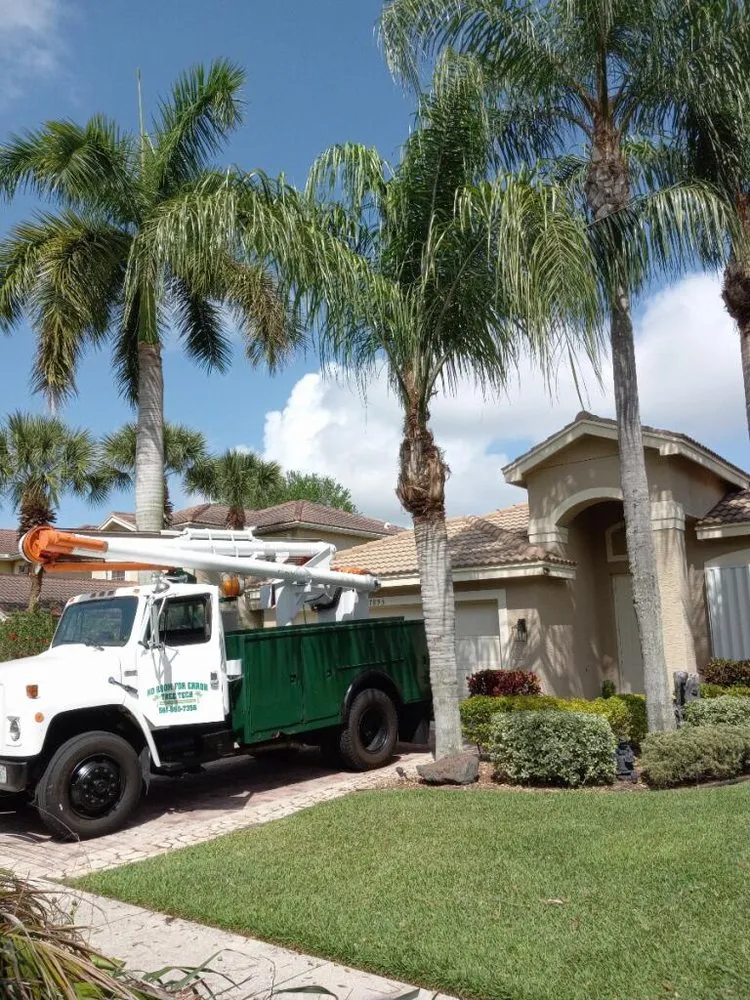 Expert lawn care service experts serving Boynton Beach, FL - No Room for Error Tree Tech