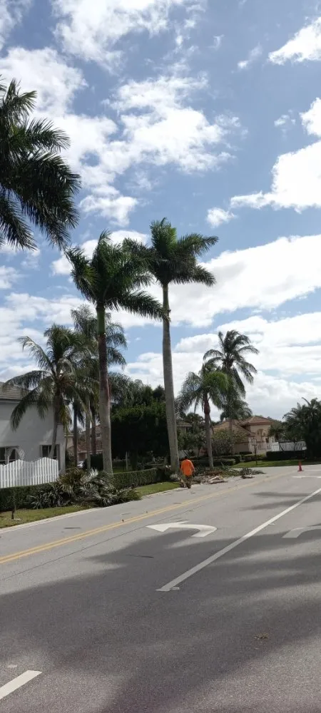 Local yard maintenance in Boynton Beach, FL by No Room for Error Tree Tech