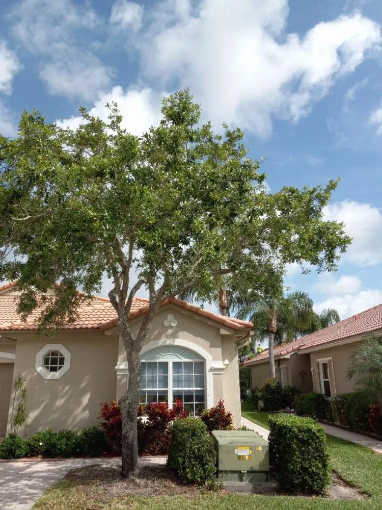 Trusted yard maintenance in Boynton Beach, FL - No Room for Error Tree Tech