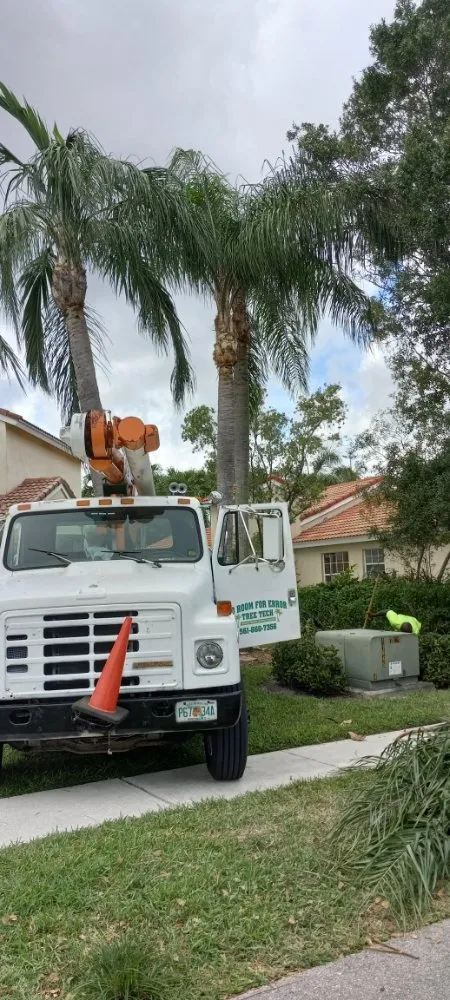 Expert landscaping services experts serving Boynton Beach, FL - No Room for Error Tree Tech
