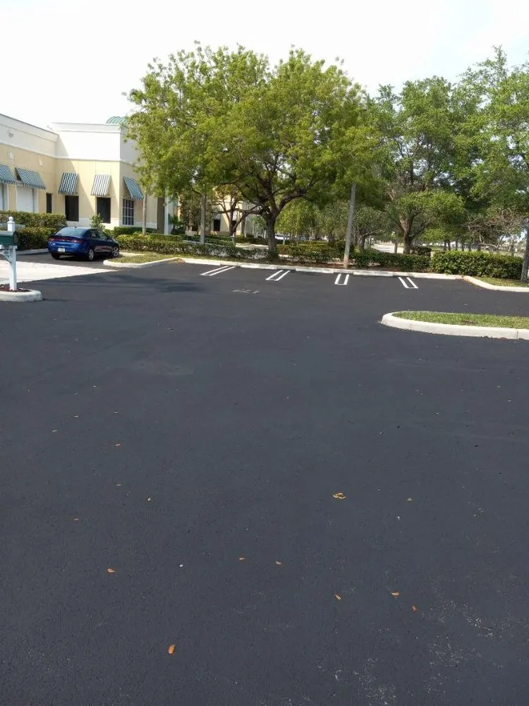 Custom yard cleanup service near you in Boynton Beach, FL by No Room for Error Tree Tech